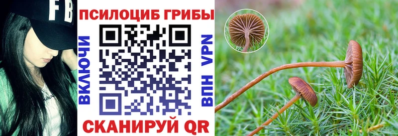 что такое   Плёс  Галлюциногенные грибы Cubensis 